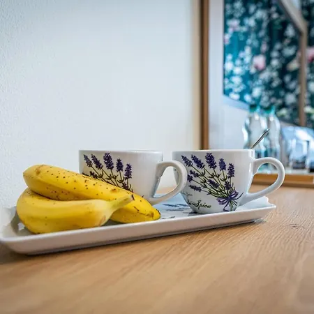 Bed & Breakfast Markowy Dworek