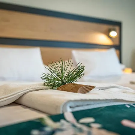 Bed & Breakfast Markowy Dworek Bialka Tatrzanska